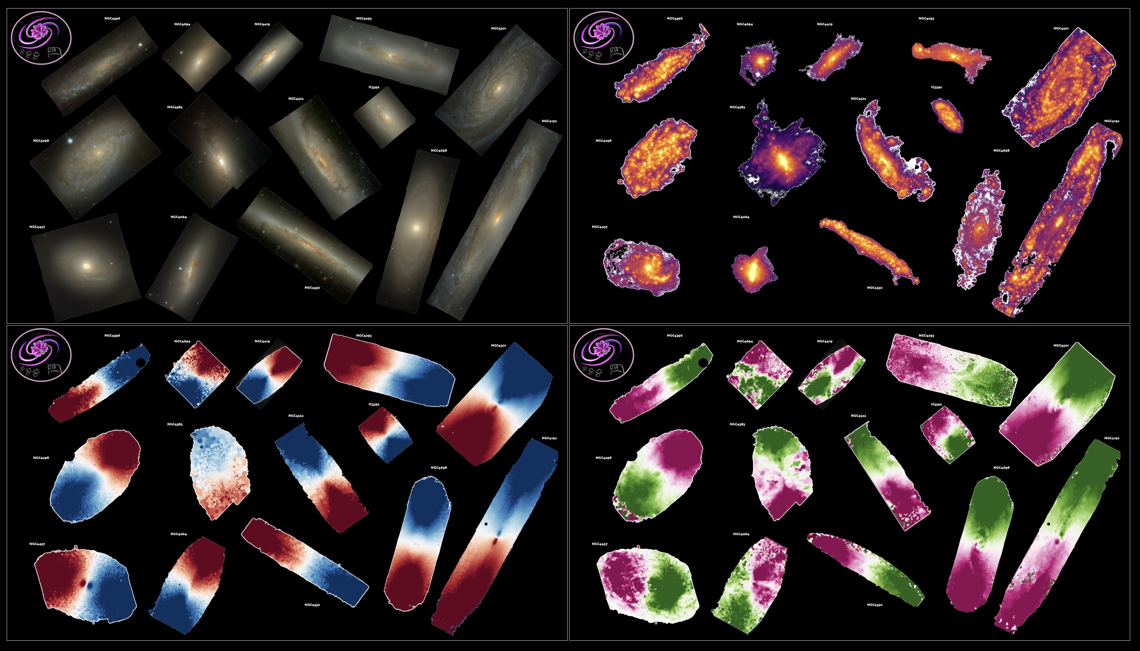 MAUVE view of the Virgo galaxies